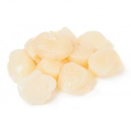 Grosses Noix de Saint-jacques crues de Normandie 30g/pc