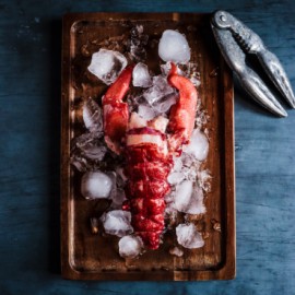 Homard Européen décortiqué x5