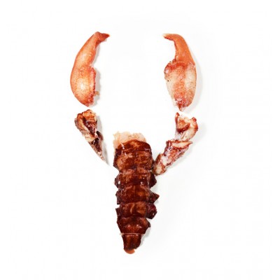 Homard Européen décortiqué