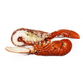 Homard Européen en carapace