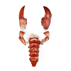 Homard Nord-Américain décortiqué